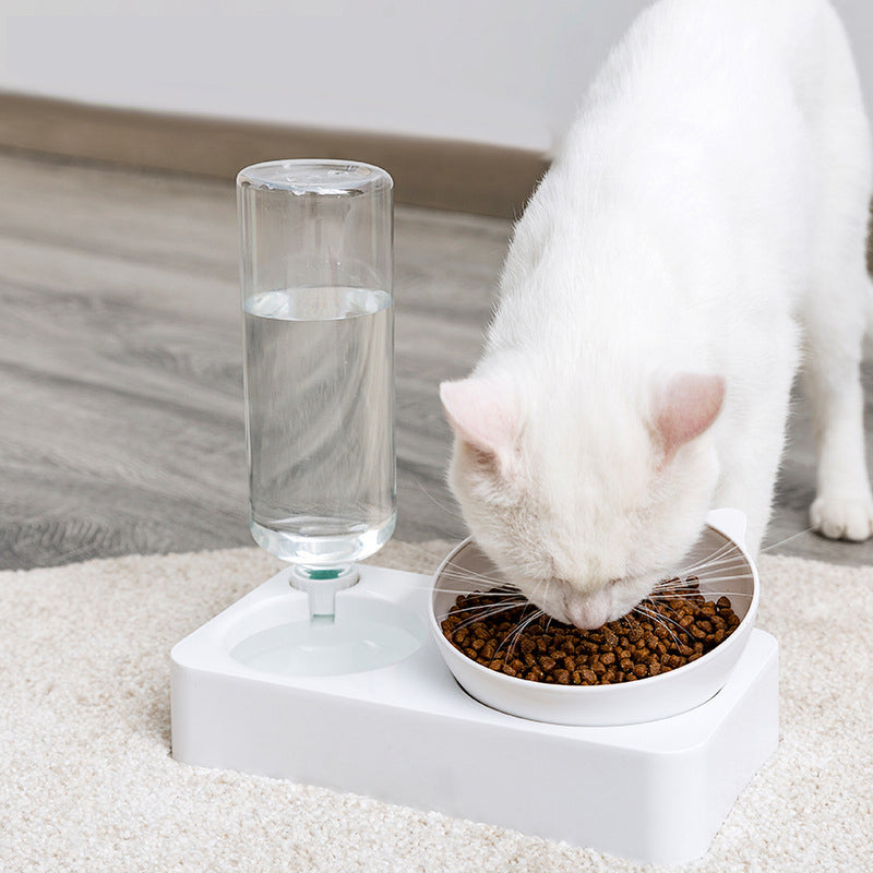 DuoBowl Automatic Drinking Fountain