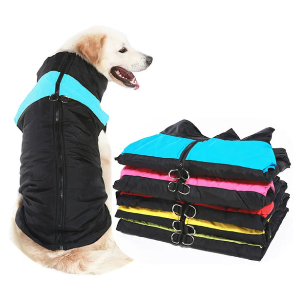 Winter Coat for Puppies