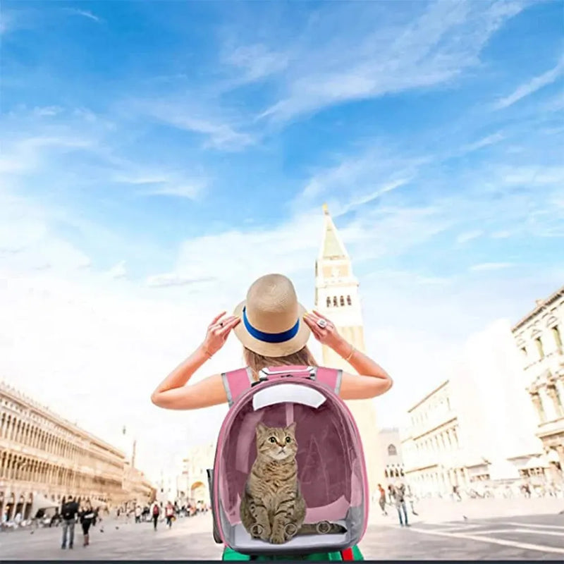 Transparent Capsule Backpack for Cats