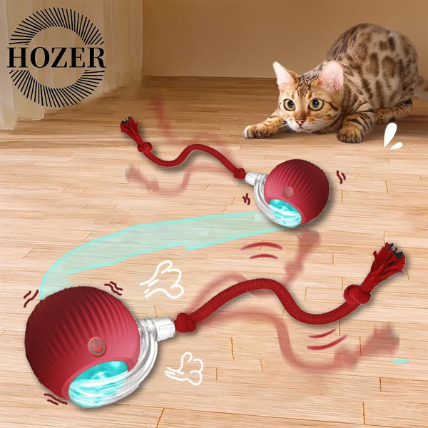 Cat Interactive Ball Toys