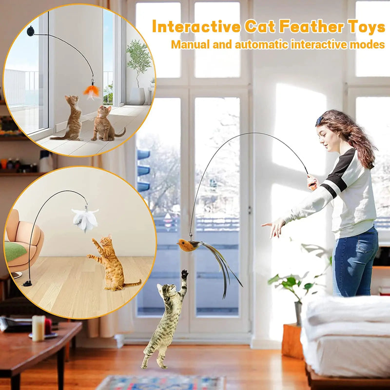 Interactive Cat Accessory