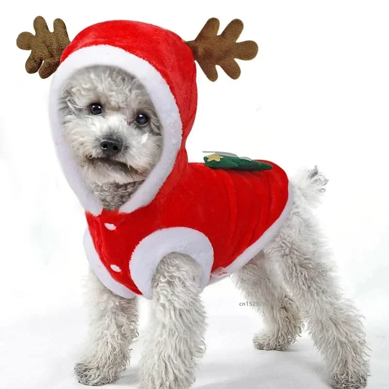 Winter Pet Hoodie