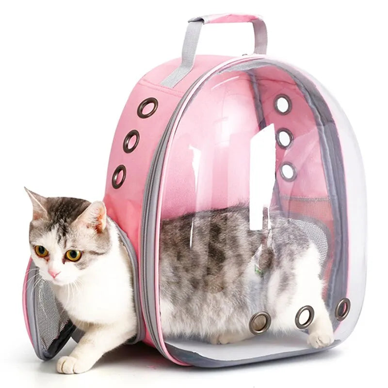 Transparent Capsule Backpack for Cats